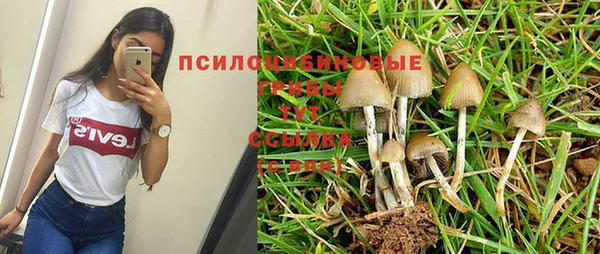 прущая мука Елизово