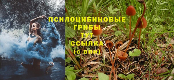 марки lsd Ельня