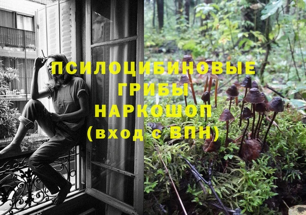 марки lsd Ельня